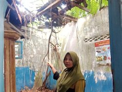 Lima Ruangan SDN 31 Palembang Atapnya Roboh Tidak Pernah Tersentuh Perbaikan Pemerintah