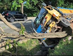 Usai Antar Batubara, Truk Tabrak Tiang Listrik dan Pohon, Ini Pengakuan Sopir