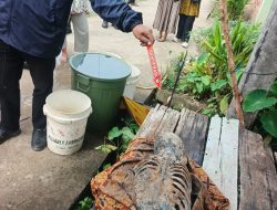 Heboh, Warga Irigasi Sukamulya Palembang Ditemukan Sudah Jadi Kerangka