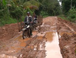 Jalan Desa Talang Buluh Banyuasin Memprihatinkan, Warga Butuh Perhatian Pemerintah