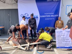 BRI Region 4 Palembang Salurkan 45 Hewan Kurban untuk Masyarakat di Sumsel, Jambi, dan Bangka Belitung
