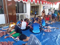 PN Palembang Salurkan Lebih dari 500 Paket Daging Kurban untuk Masyarakat dan Panti Asuhan