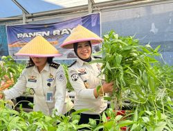 Optimalisasi Lahan Produktif di Lingkungan Lapas, Warga Binaan Dukung Ketahanan Pangan