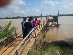 Warga Pulau Rimau Banyuasin Hilang Diduga Diterkam Buaya Liar