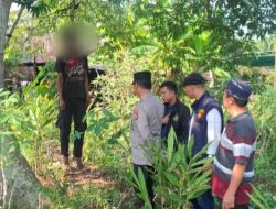 Warga Sukamulya Sematang Borang Gadir di Pohon Kapuk