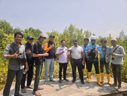 PLTS Komunal Jadi Solusi Akses Listrik Desa Pesisir OKI